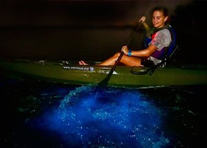 Schedule with A Day Away Kayak Tours and be amazed with a Bioluminescence Dinoflagellate Kayak Vacation in Florida's Indian River and Mosquito Lagoon.