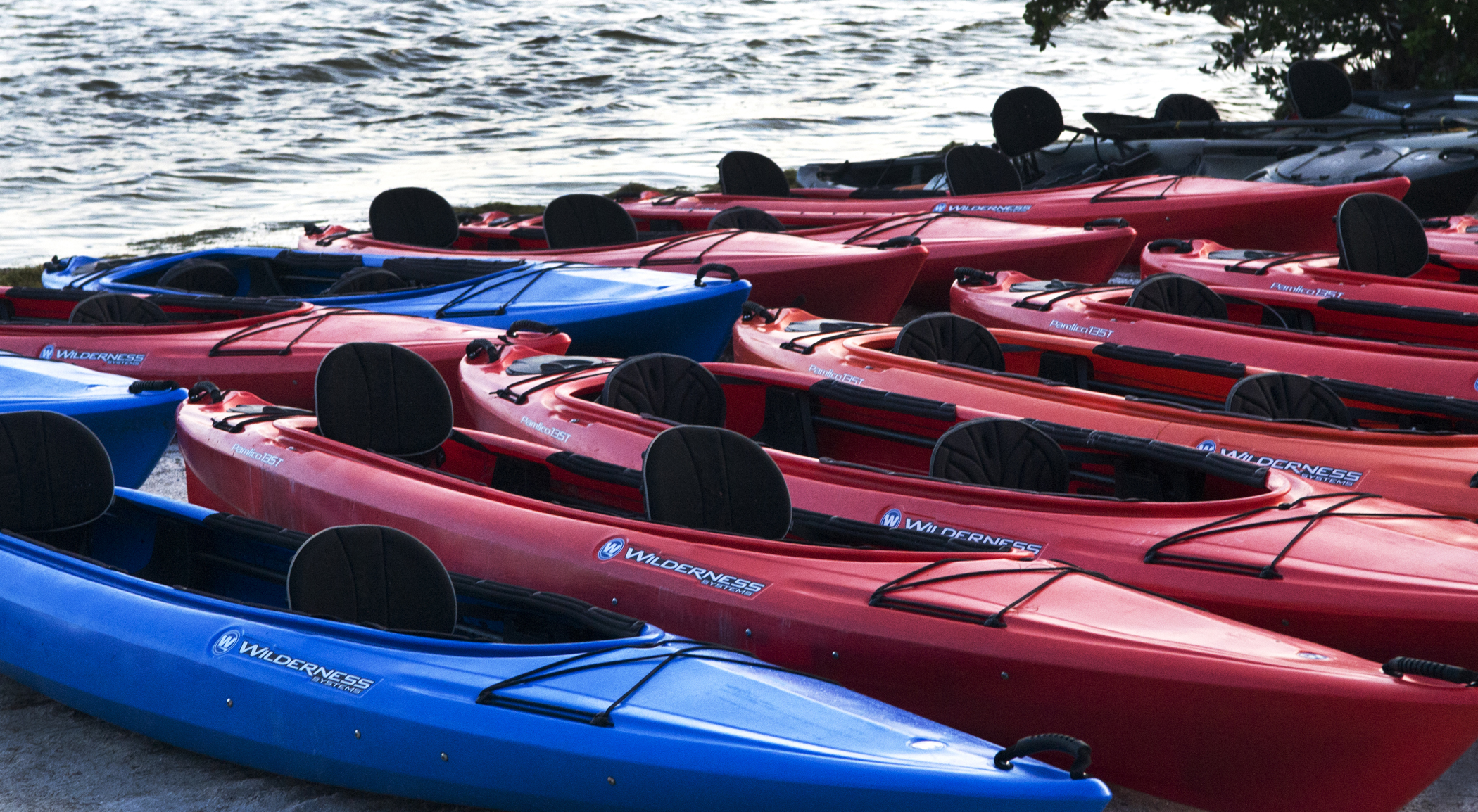 Kayak Rentals