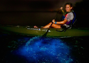 bioluminescent kayaking puerto rico