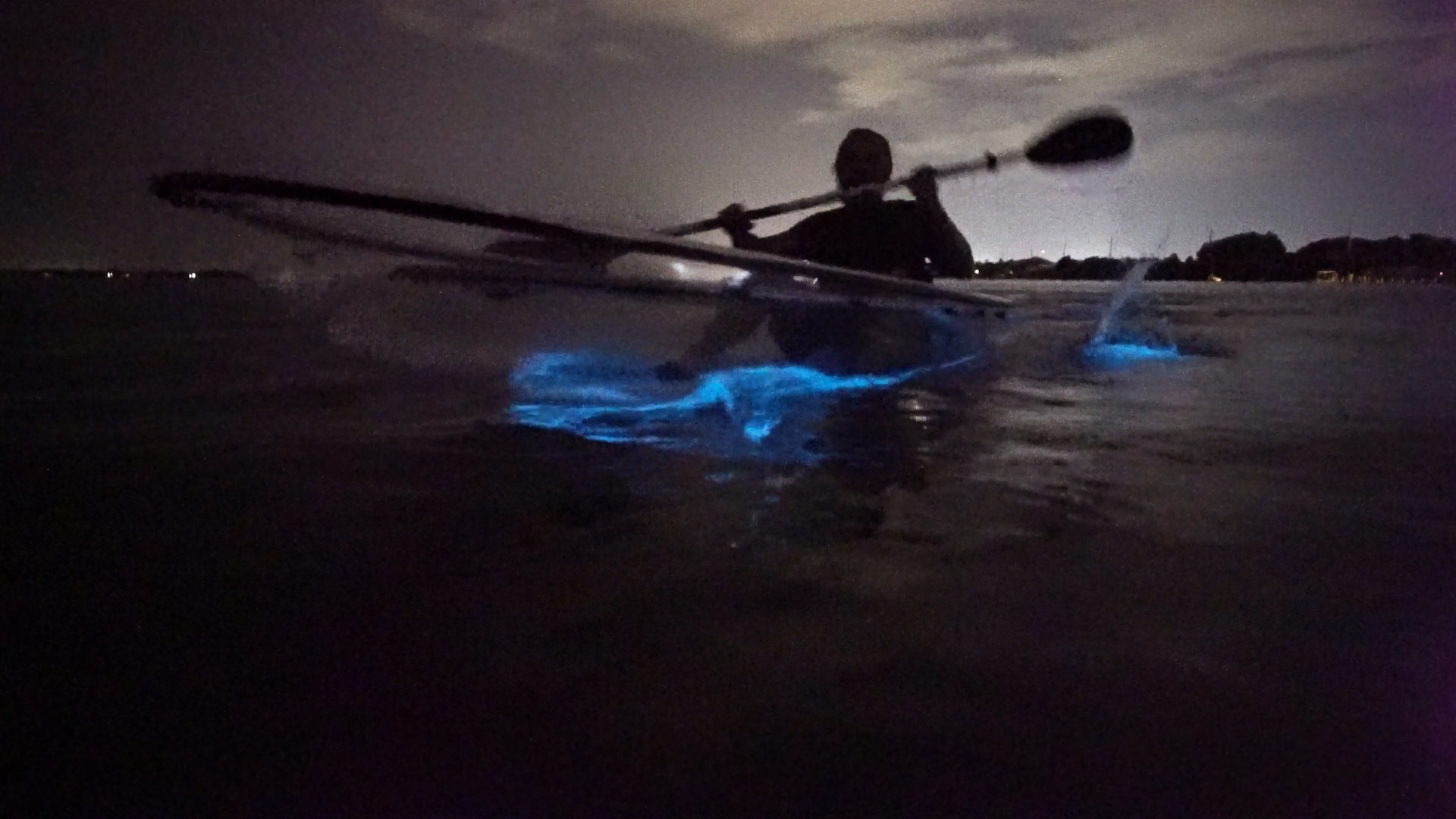 Clear Kayak Bioluminescence Tour