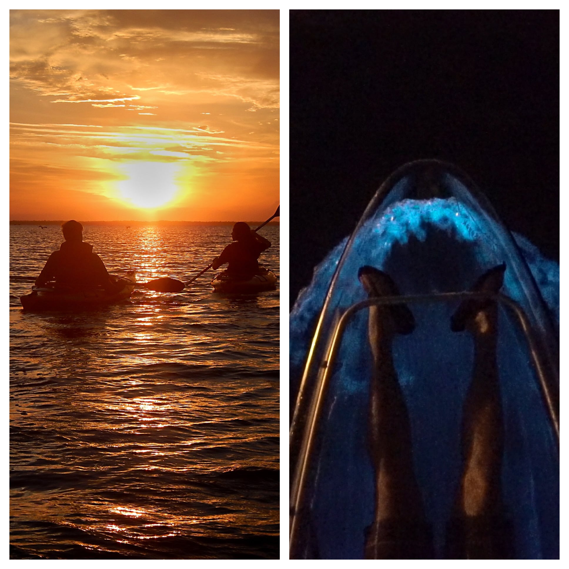 Join A Day Away for a mystical clear kayak sunset bioluminescence tour.